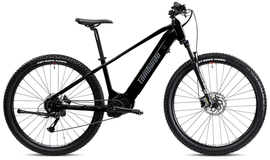 LOMBARDO Selinunte 29"