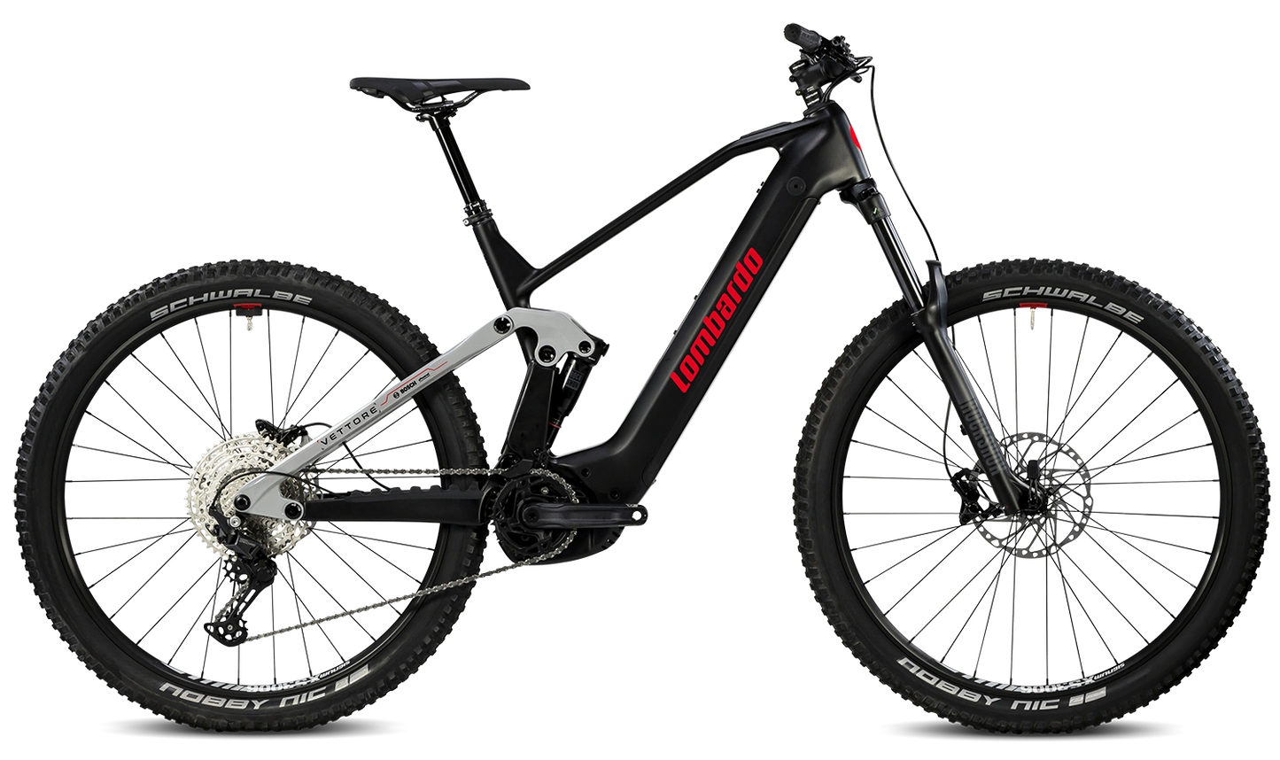 LOMBARDO Vettore 29"