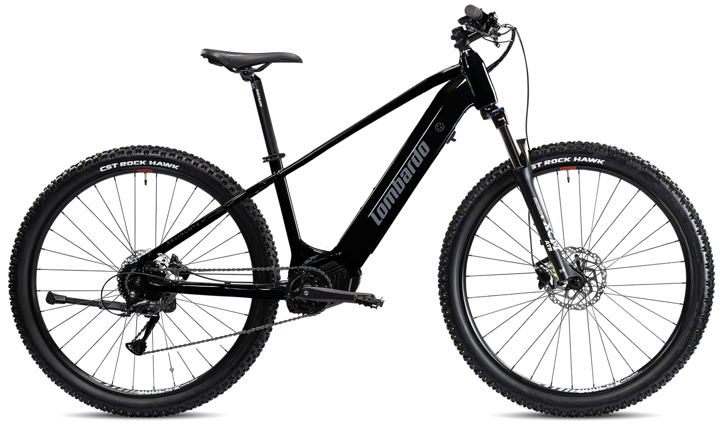 LOMBARDO Selinunte 29"