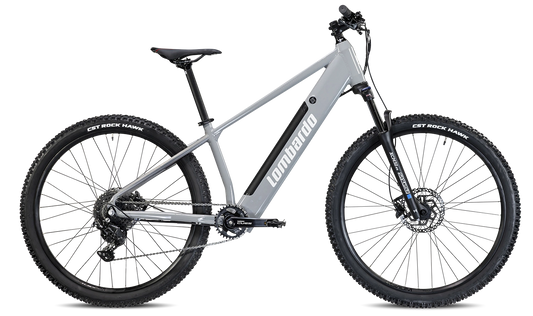 LOMBARDO Valderice 29"